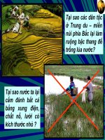 Sử dụng và bảo vệ tài nguyên thiên nhiên