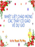 Bài 21: trình bày cô đọng bằng bảng