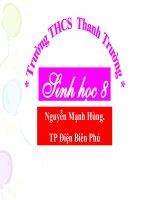 tiến hóa về tổ chức cơ thể(đã sửa)