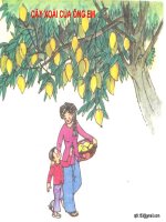 TRANH TĐ: CÂY XOÀI CỦA ÔNG EM