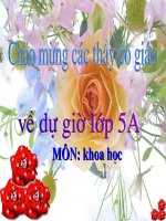 bai 62 Moi truong