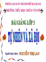 TN & XH Trai Dat Qua Dia Cau