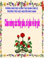 luyện twf và câu: Câu cảm