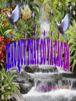 Ôn tập về đo diện tích