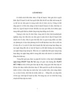 Thực trạng và một số giải pháp và kiến nghị nhằm hoàn thiện công tác lập kế hoạch và thực hiện kế hoạch kinh doanh tại chi nhánh ngân hàng đầu tư và phát triển nam hà nội