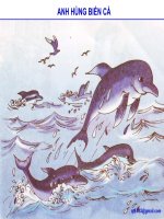 ANH HÙNG BIỂN CẢ