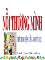 CHI KHI AANH HÙNG- TRUYỆN KIỂU- NGUYỄN DU
