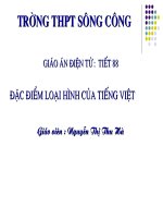 dac diem loai hinh tieng viet (hoan chinh)