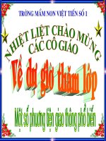 Mot so PTGT pho bien - lop 5 tuoi