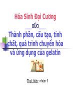 Thành phần, cấu tạo, tính chất, quá trình chuyển hóa và ứng dụng cua Gelatin