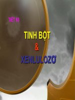 Tiết 63: Tinh bột và xenlulozơ