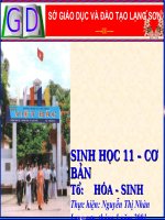 bài 29: Điện thế hoạt động và sự lan truyền xung thần kinh