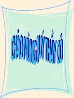 Bài : Lũy thừa với số mũ tự nhiên.Nhân hai lũy thừa cùng cơ số