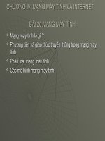 Bài 20 : Mạng Máy Tinh (tiết 1)