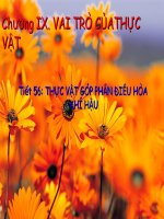 THỰC VẬT GÓP PHẦN ĐIỀU HÒA KHÍ HẬU