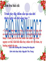 tiết 51, Bộ ăn sâu bọ, bộ gặm nhấm, bộ ăn thịt