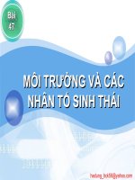 bai 47. MT và các NTST