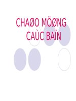 THANH NIÊN VỚI LÝ TƯỞNG CÁCH MẠNG
