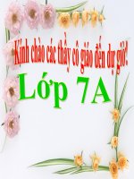 bai 30- dau gach ngang