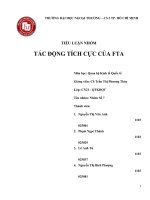 TÁC ĐỘNG TÍCH CỰC CỦA FTA