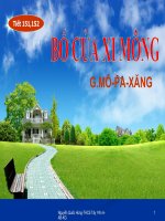 Giao an bai: Bo cua Xi Mong