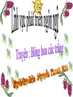 Truyện bông hoa cúc trắng