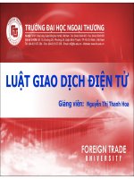 Slide luat Giao dịch điện tử