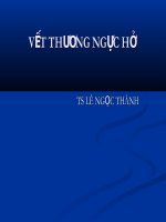 vết thương ngực hở - ts lê ngọc thành