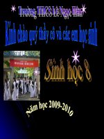 Bài 61: Cơ quan sinh dục nữ