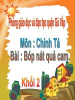 chinh ta. Bop nat qua cam
