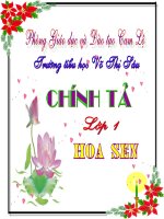 Chính tả: HOA SEN