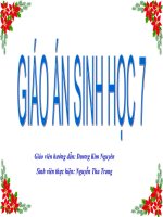 Bài 55. Tiến hóa về sinh sản