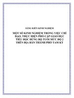 skkn một số kinh nghiệm trong việc chỉ đạo, thực hiện phổ cập giáo dục tiểu học đúng độ tuổi mức độ 2 trên địa bàn thành phố tam kỳ