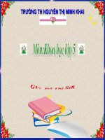 SỰ SINH SẢN CỦA ĐỘNG VẬT