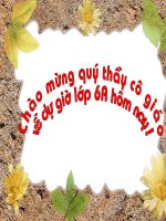 câu trần thuật đơn không có từ là