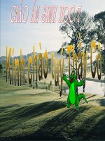 GIÁO ÁN SINH HỌC 7-BÀI 59-TIẾT 62(CỰC HAY)