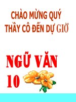 Tình cảnh lẻ loi của người chinh phụ (Thi GV Giỏi)