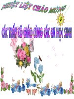 Tiết 56 bài 20 Thêm Hình ảnh để minh họa