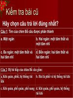 Bài 44 - đa dạng và đặc điểm chung của Lớp Chim