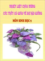 ảnh hưởng của ánh sáng lên đời sống của sinh vật