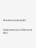 luyen tap xay dung doan van mieu ta do vat