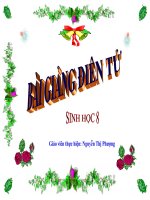 Tuyến yên - Tuyến giáp