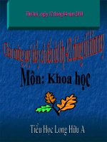 Dong vat an gi de song