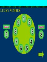 LUCKY NUMBERS