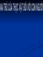 vai trò thực vật