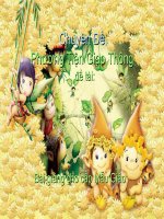 Máy bay - Tàu thủy (phương tiện giao thộng - Mẫu Giáo)