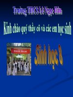 Bài 57: Tuyến tụy & tuyến trên thận