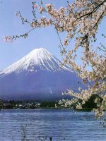 Bai 44 - Sự phát triển của giới Thực vật