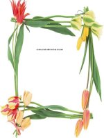 Tiet 21 Su dung an toan va tiet kiem dien