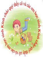 che bien va du tru thuc an vat nuoi